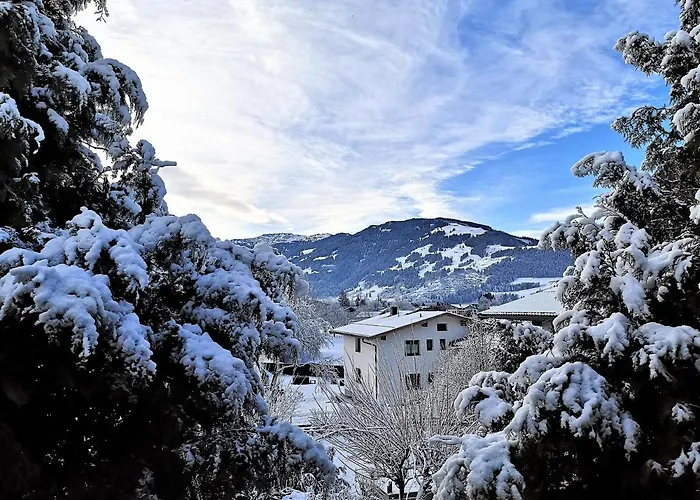 Apartamento Werner Saalfelden